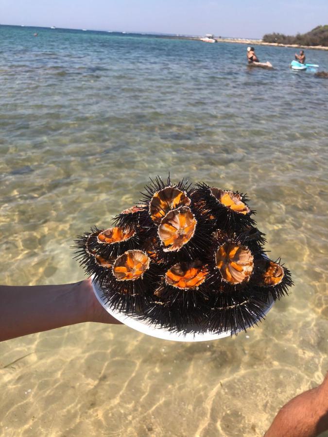 Salento Casa Vacanza Il Focolare 托尔基亚罗洛 外观 照片