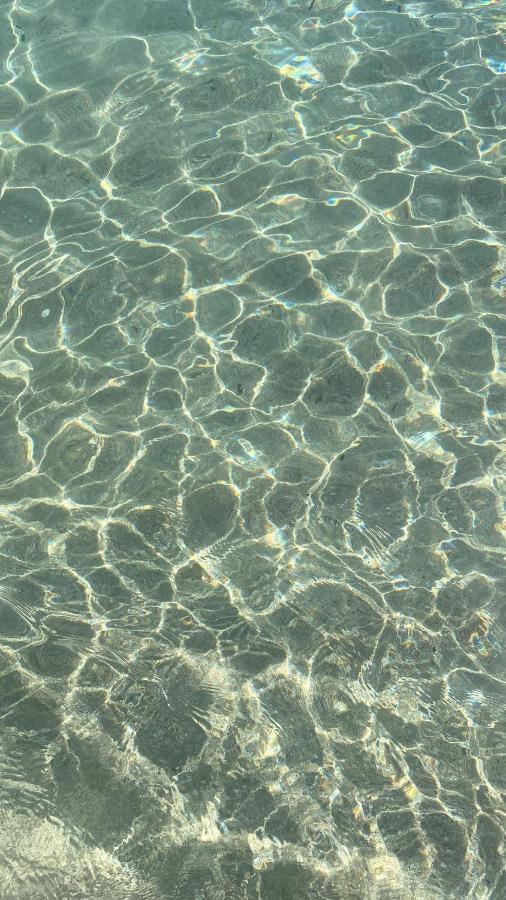 Salento Casa Vacanza Il Focolare 托尔基亚罗洛 外观 照片