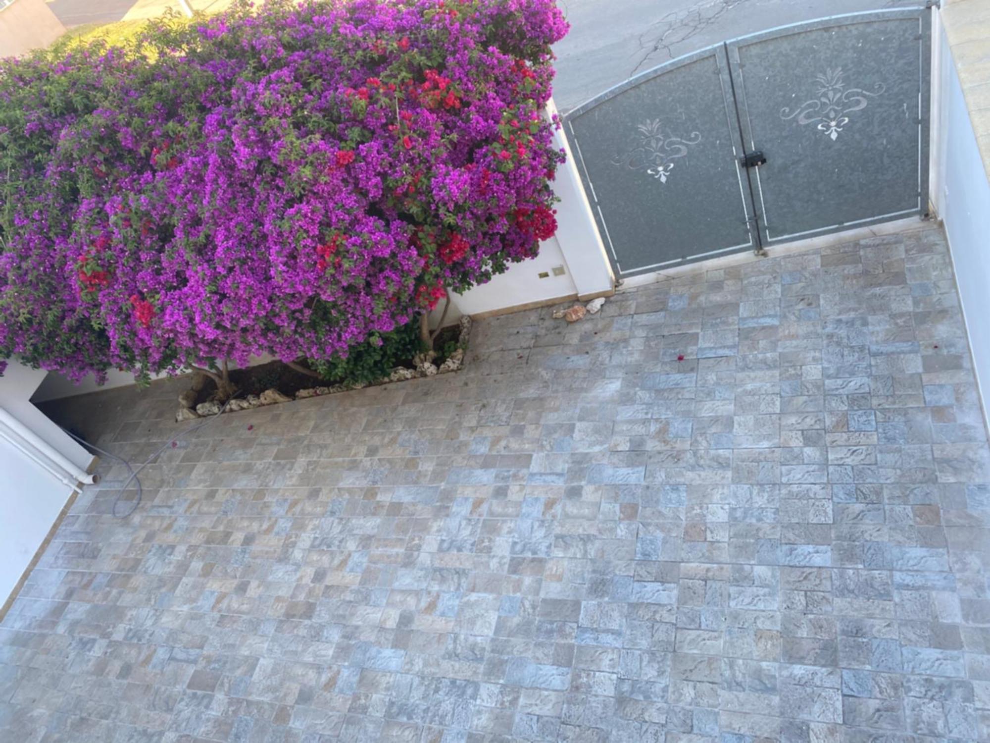 Salento Casa Vacanza Il Focolare 托尔基亚罗洛 外观 照片