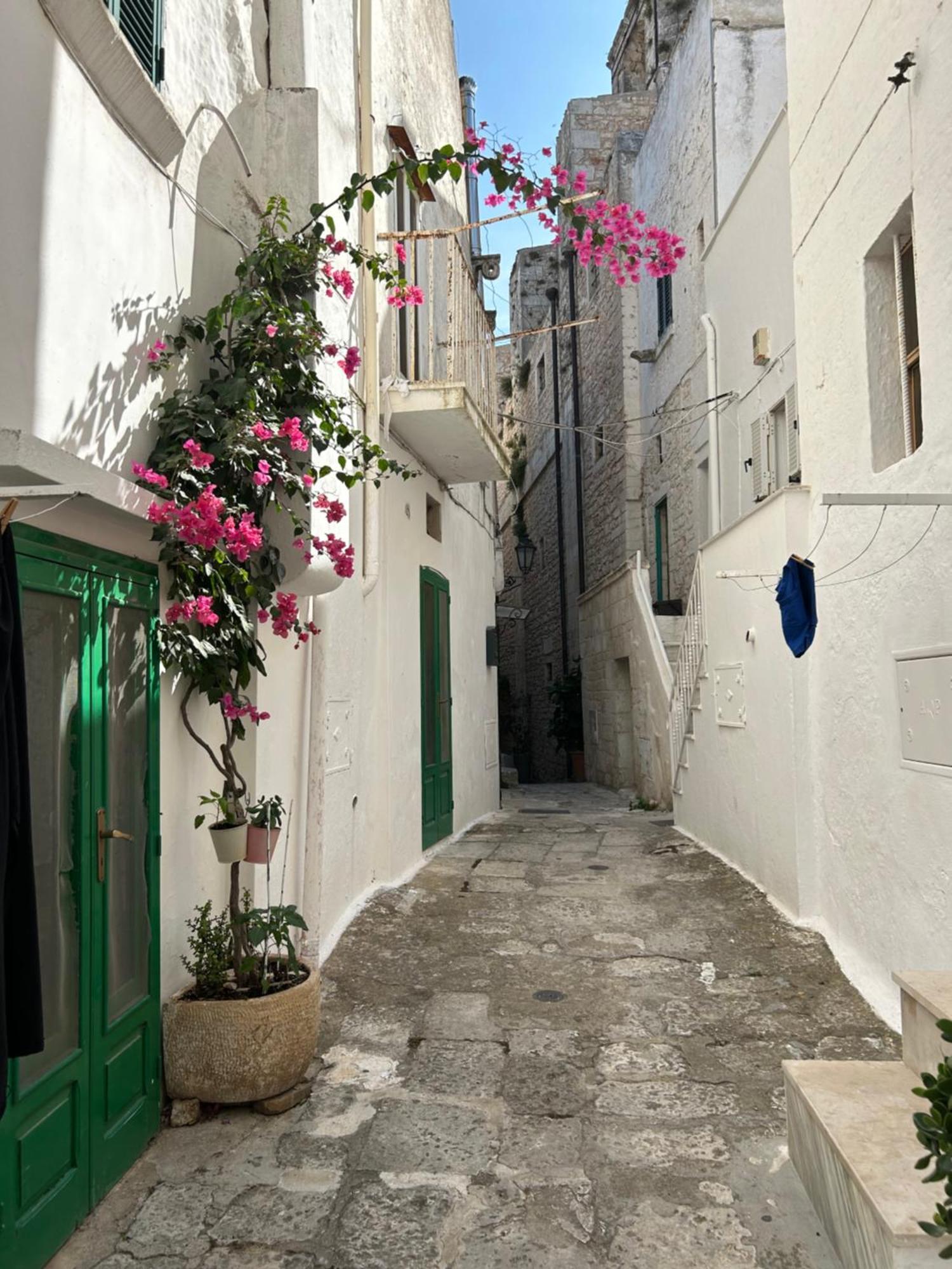 Salento Casa Vacanza Il Focolare 托尔基亚罗洛 外观 照片